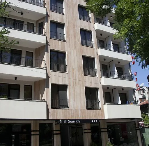 호텔 Gran Via 3*